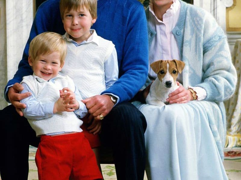 Prins Charles, Prinses Diana, William en Harry