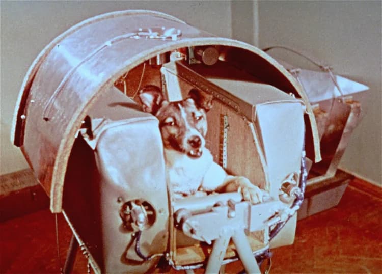 Hondje Laika in de ruimtecapsule van de Spoetnik II