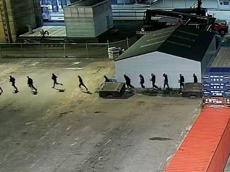 Uithalers en cocaïne gevonden in haven Rotterdam
